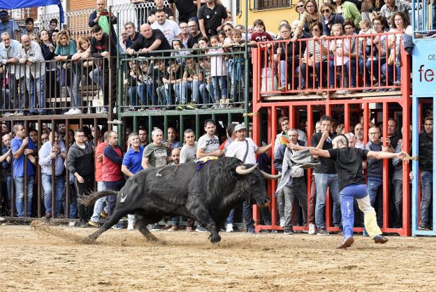 Hondura, belleza y expresión en el toro de Cuadri.