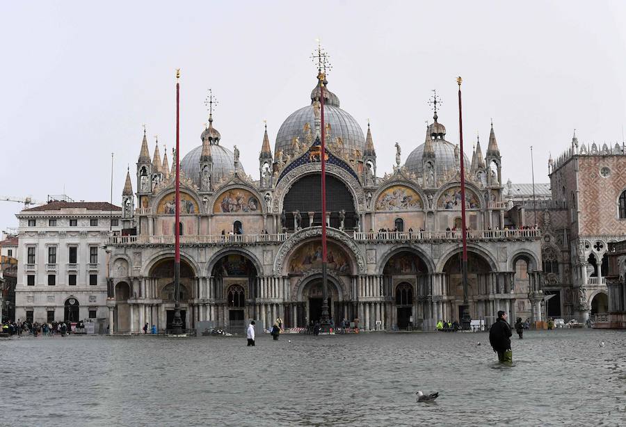 El agua alcanzó el lunes un nivel histórico en Venecia debido al  temporal de fuertes vientos, precipitaciones y mareas altas que azota Italia , donde además muchas escuelas se vieron obligadas a cerrar. Hacia las 15 horas, el 'acqua alta' (agua alta) alcanzó un máximo de 156 centímetros en Venecia. Las habituales pasarelas de madera que permiten caminar en seco en caso de inundación dejaron de ser seguras. La plaza de San Marcos quedó inaccesible para los turistas y muchos decidieron recorrer las calles de alrededor. Los niños iban a hombros de sus padres y con los pies empapados. Es la sexta vez en la historia reciente de la ciudad que el 'acqua alta' supera los 150 centímetros: en 1951 llegó a 151 cm.; en 1976 a los 166 cm.; en 1986 alcanzó los 159 cm.; en 2008 se situó en 156 cm. y en noviembre de 1966 logró un nivel récord de 194 cm.