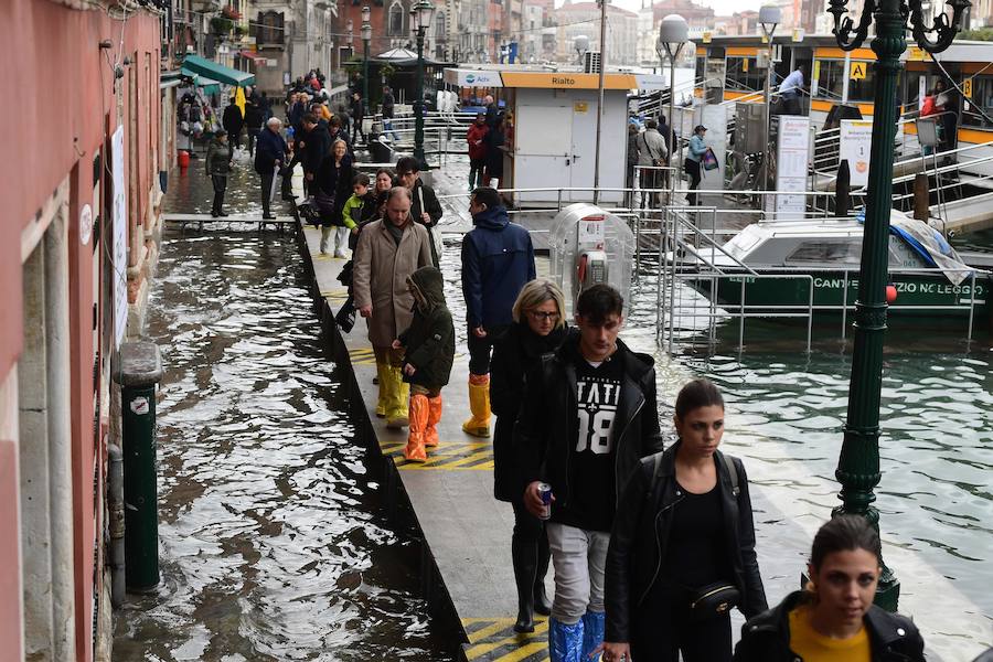 El agua alcanzó el lunes un nivel histórico en Venecia debido al  temporal de fuertes vientos, precipitaciones y mareas altas que azota Italia , donde además muchas escuelas se vieron obligadas a cerrar. Hacia las 15 horas, el 'acqua alta' (agua alta) alcanzó un máximo de 156 centímetros en Venecia. Las habituales pasarelas de madera que permiten caminar en seco en caso de inundación dejaron de ser seguras. La plaza de San Marcos quedó inaccesible para los turistas y muchos decidieron recorrer las calles de alrededor. Los niños iban a hombros de sus padres y con los pies empapados. Es la sexta vez en la historia reciente de la ciudad que el 'acqua alta' supera los 150 centímetros: en 1951 llegó a 151 cm.; en 1976 a los 166 cm.; en 1986 alcanzó los 159 cm.; en 2008 se situó en 156 cm. y en noviembre de 1966 logró un nivel récord de 194 cm.