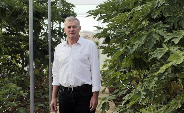 José Vicente Almudéver, presidente de la Asociación Profesional de Flores y Plantas, en su vivero de Alcàsser. 