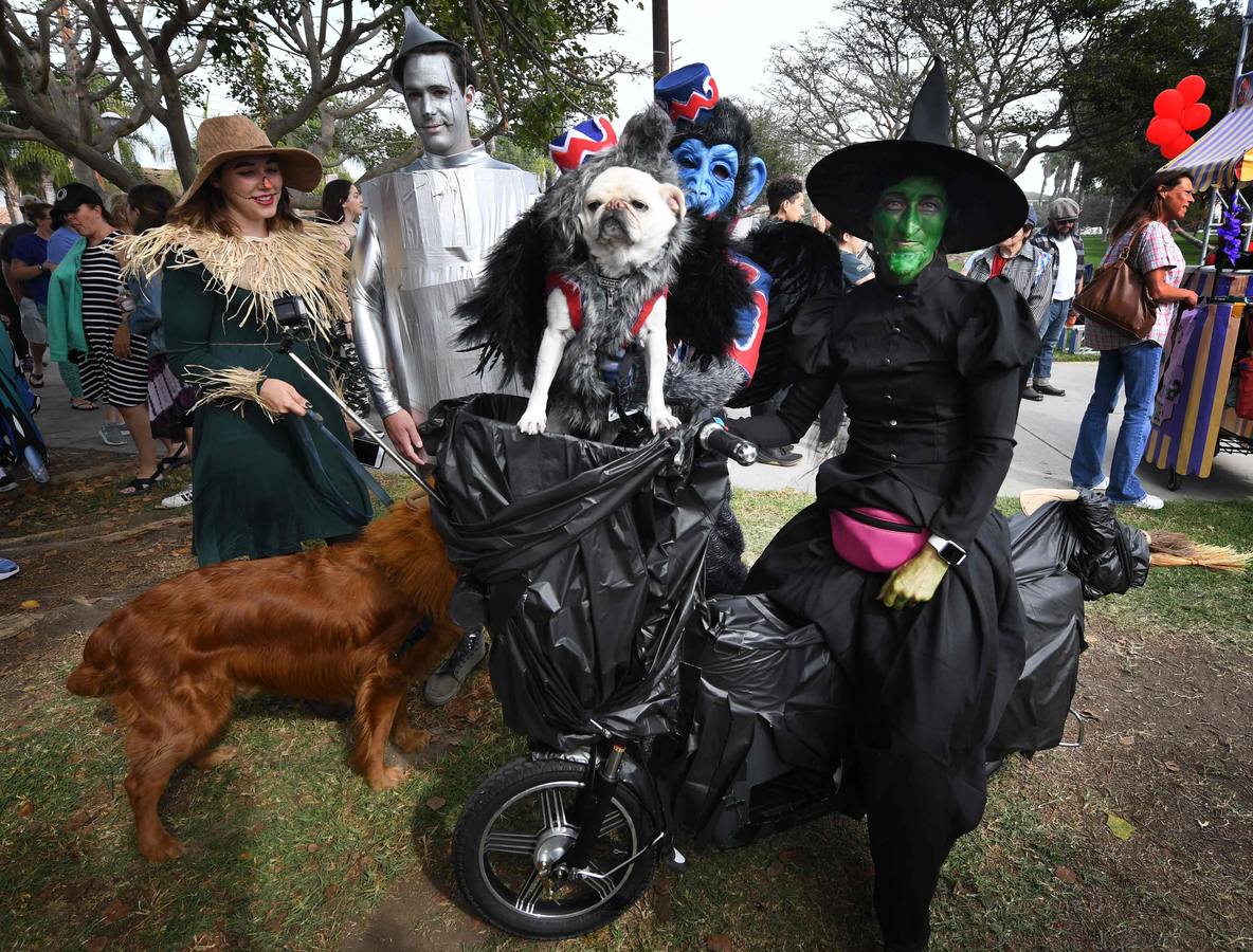 Múltiples rincones del planeta celebran la fiesta de Halloween, que tiene como origen la fiesta celta Samhain, del fin de la cosecha. Washíngton, Pekín, Hong Kong, Johannesburgo, Berlín, Galway (Irlanda), Krulov y Managua son sólo algunas de la ciudades que se disfrazan esta noche.