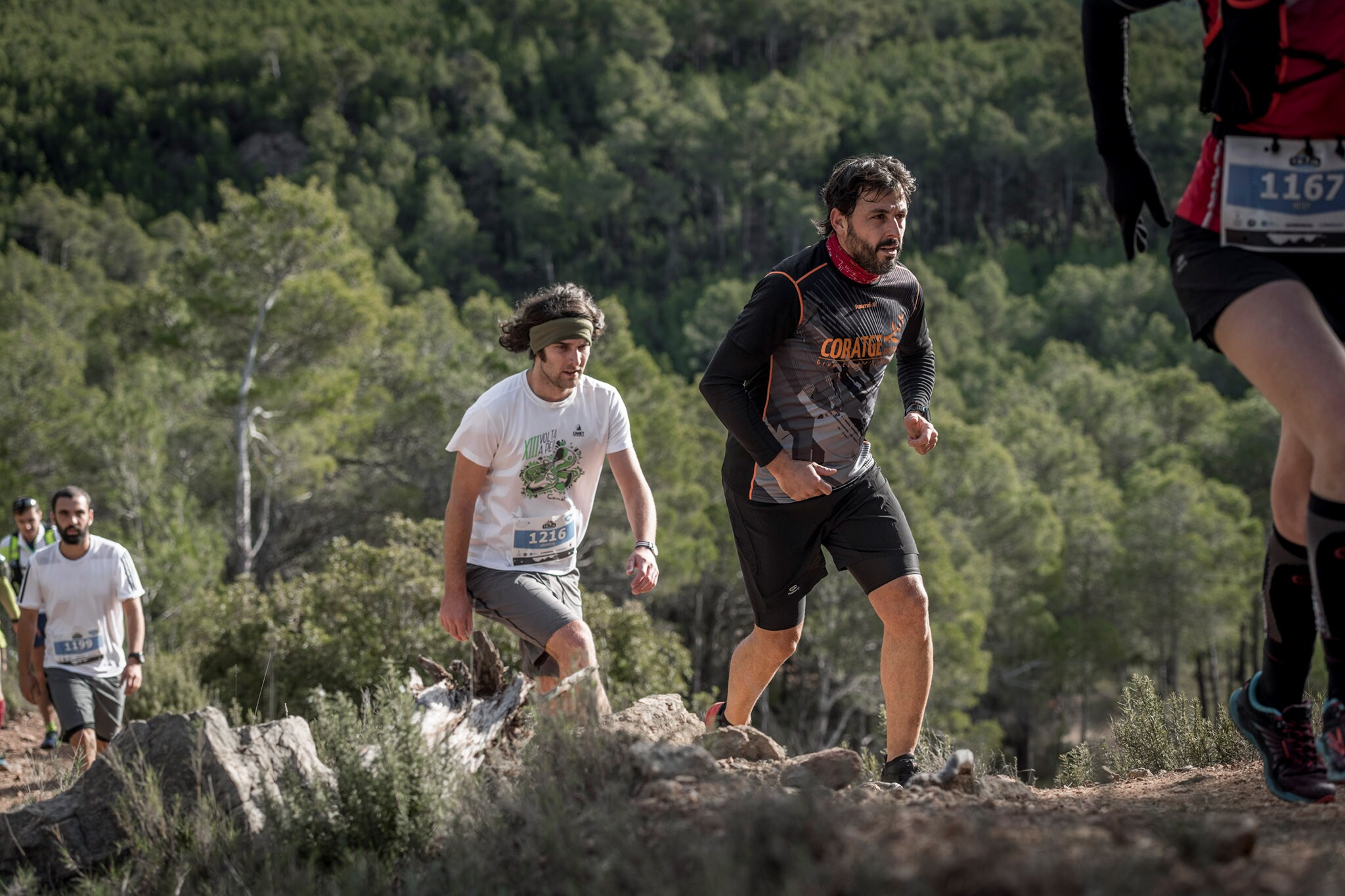 Galería de fotos de la carrera de 15 kilómetros del Trail de Montanejos celebrado el pasado 3 de noviembre