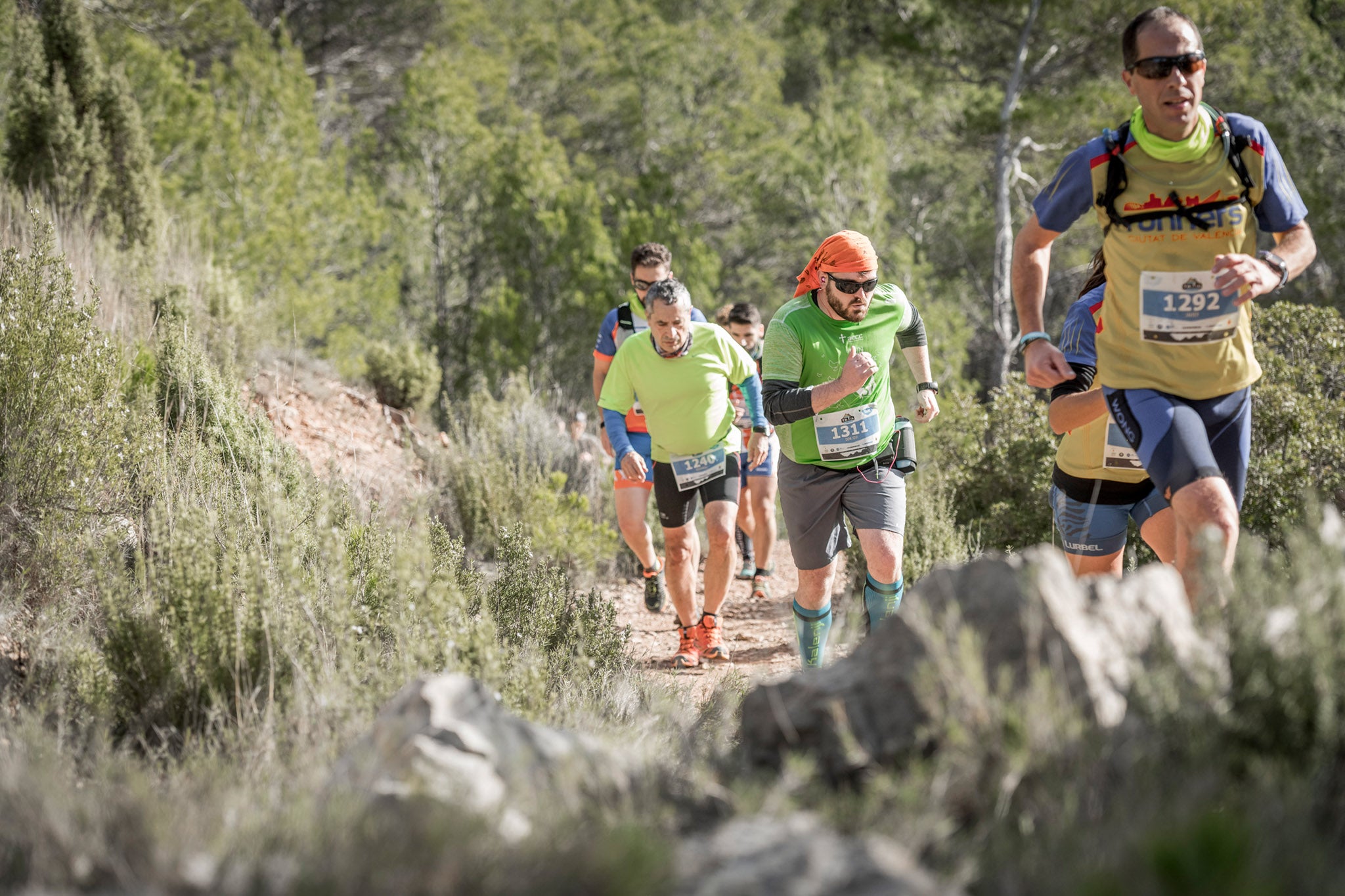 Galería de fotos de la carrera de 15 kilómetros del Trail de Montanejos celebrado el pasado 3 de noviembre