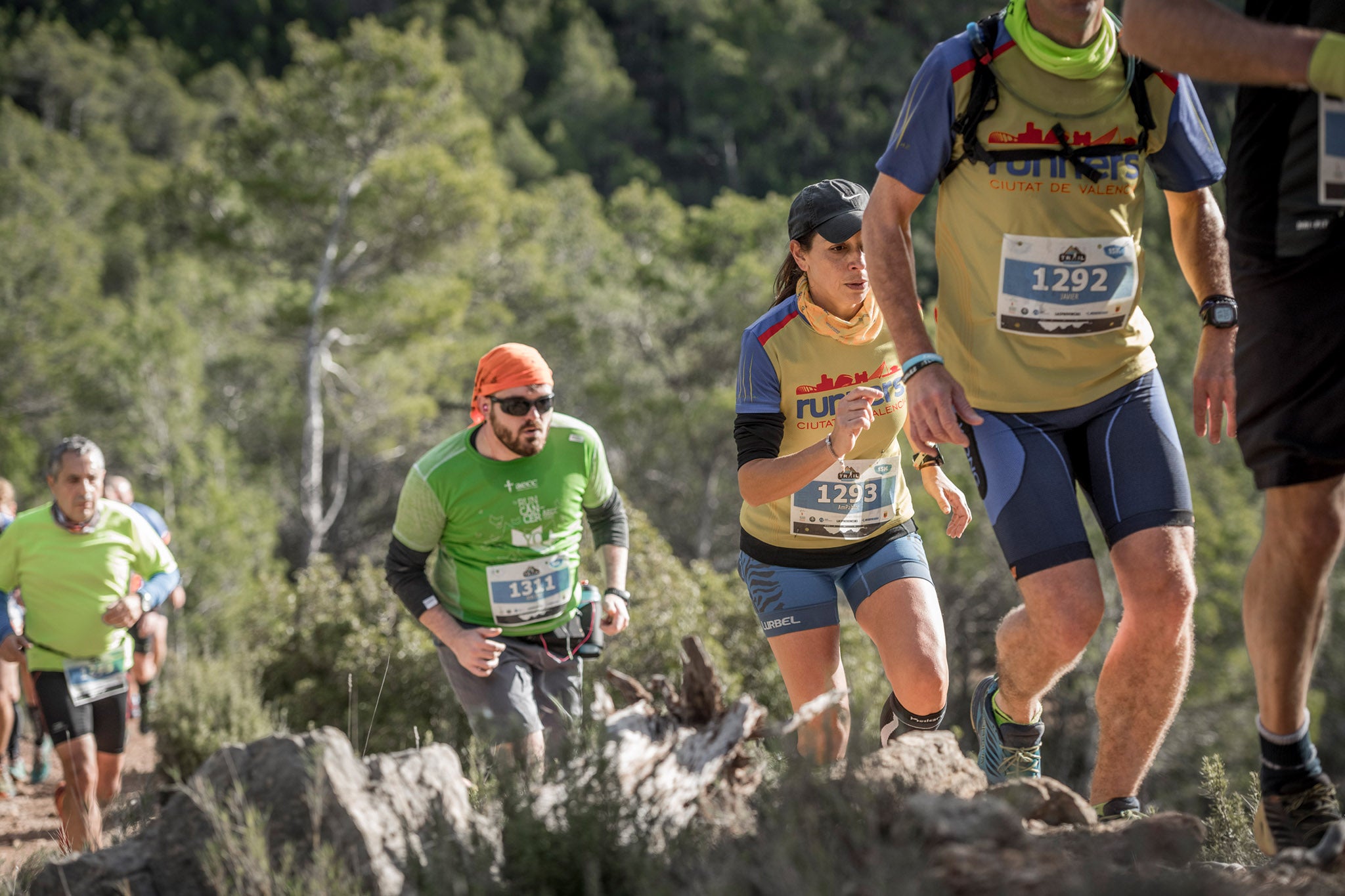 Galería de fotos de la carrera de 15 kilómetros del Trail de Montanejos celebrado el pasado 3 de noviembre