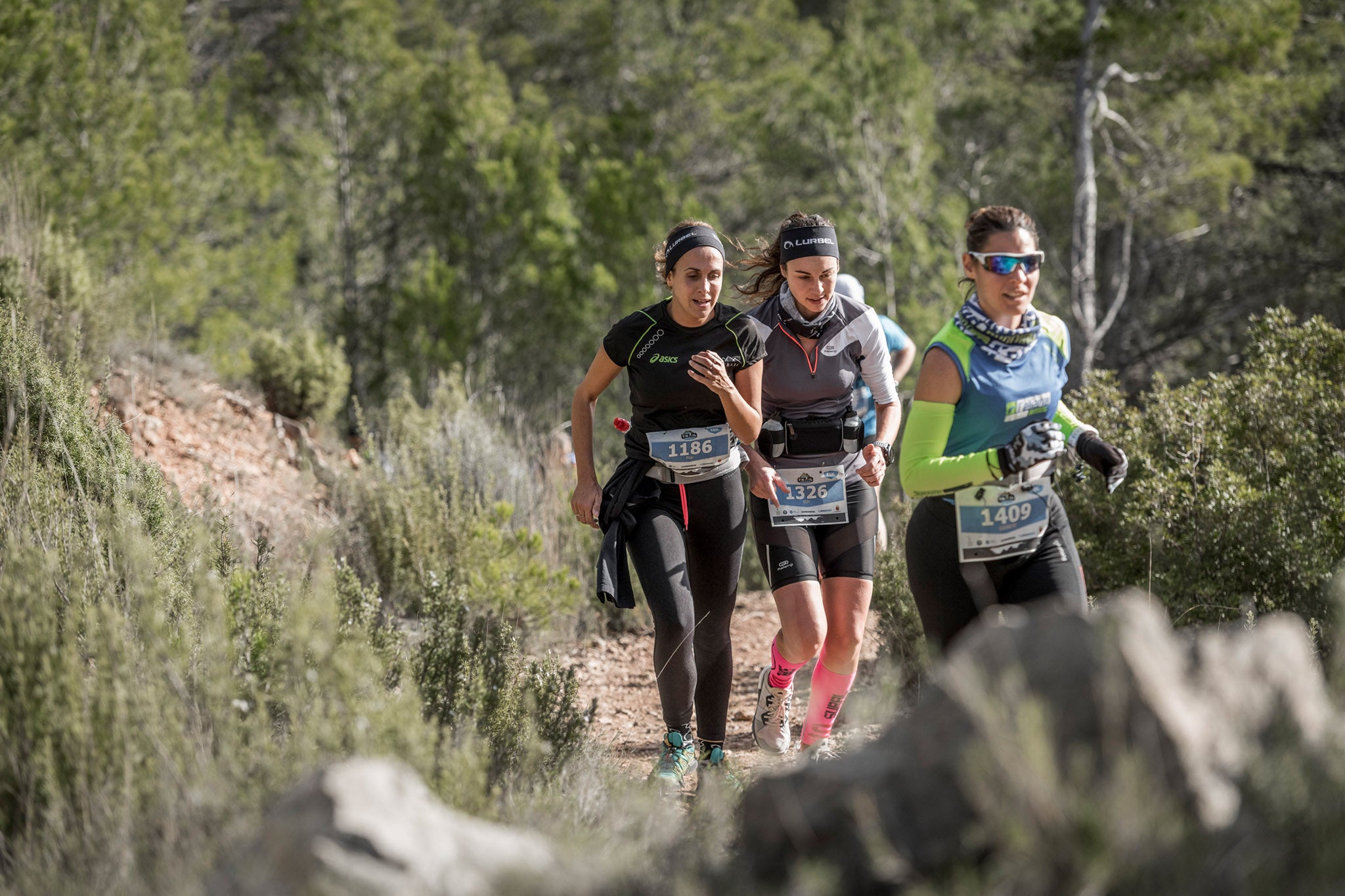 Galería de fotos de la carrera de 15 kilómetros del Trail de Montanejos celebrado el pasado 3 de noviembre