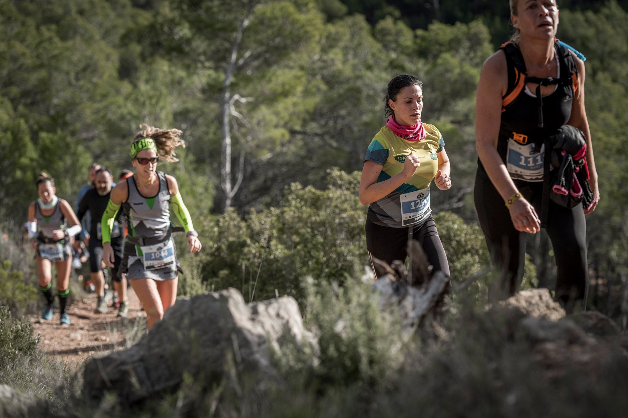 Galería de fotos de la carrera de 15 kilómetros del Trail de Montanejos celebrado el pasado 3 de noviembre