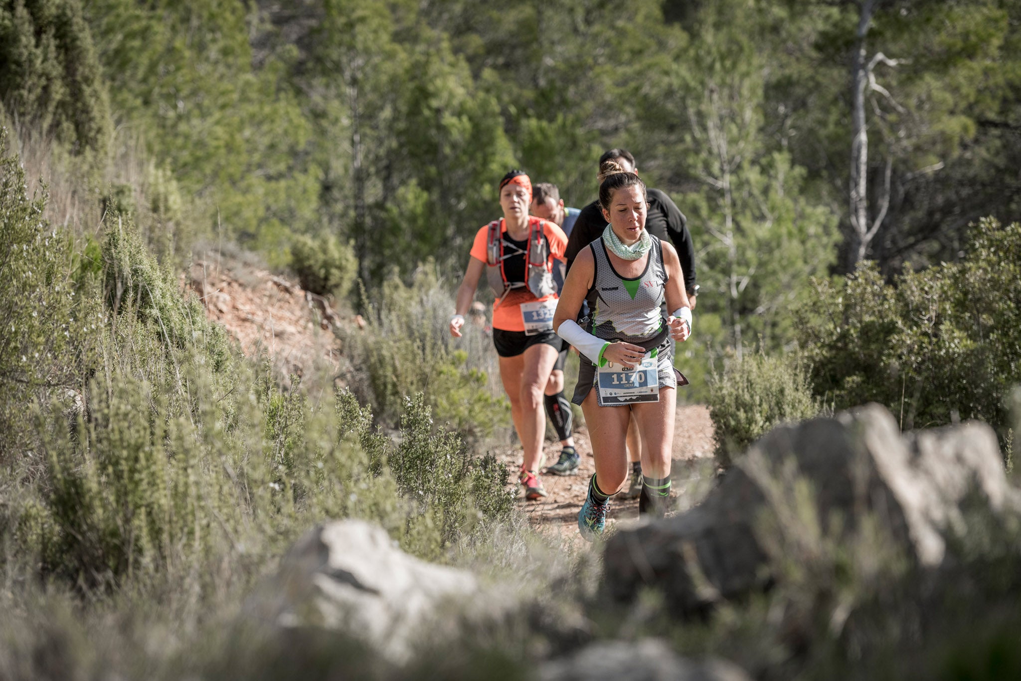 Galería de fotos de la carrera de 15 kilómetros del Trail de Montanejos celebrado el pasado 3 de noviembre