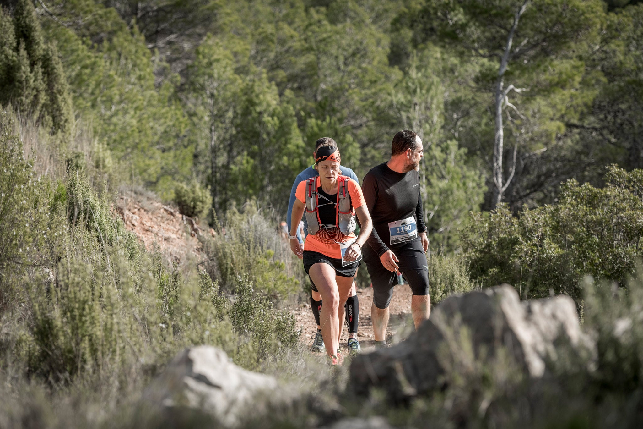 Galería de fotos de la carrera de 15 kilómetros del Trail de Montanejos celebrado el pasado 3 de noviembre