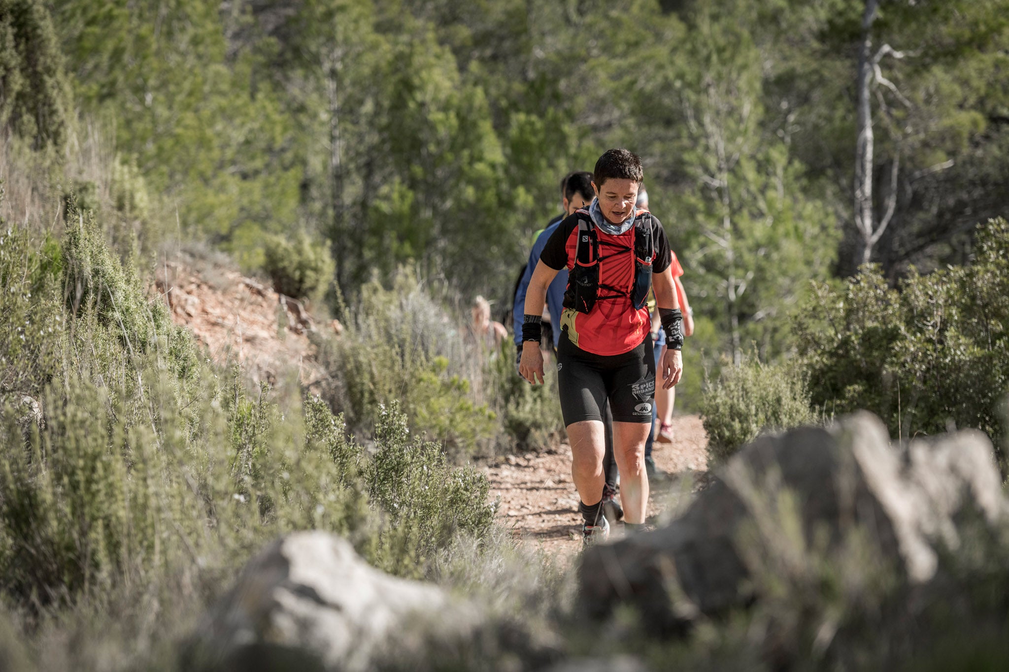 Galería de fotos de la carrera de 15 kilómetros del Trail de Montanejos celebrado el pasado 3 de noviembre