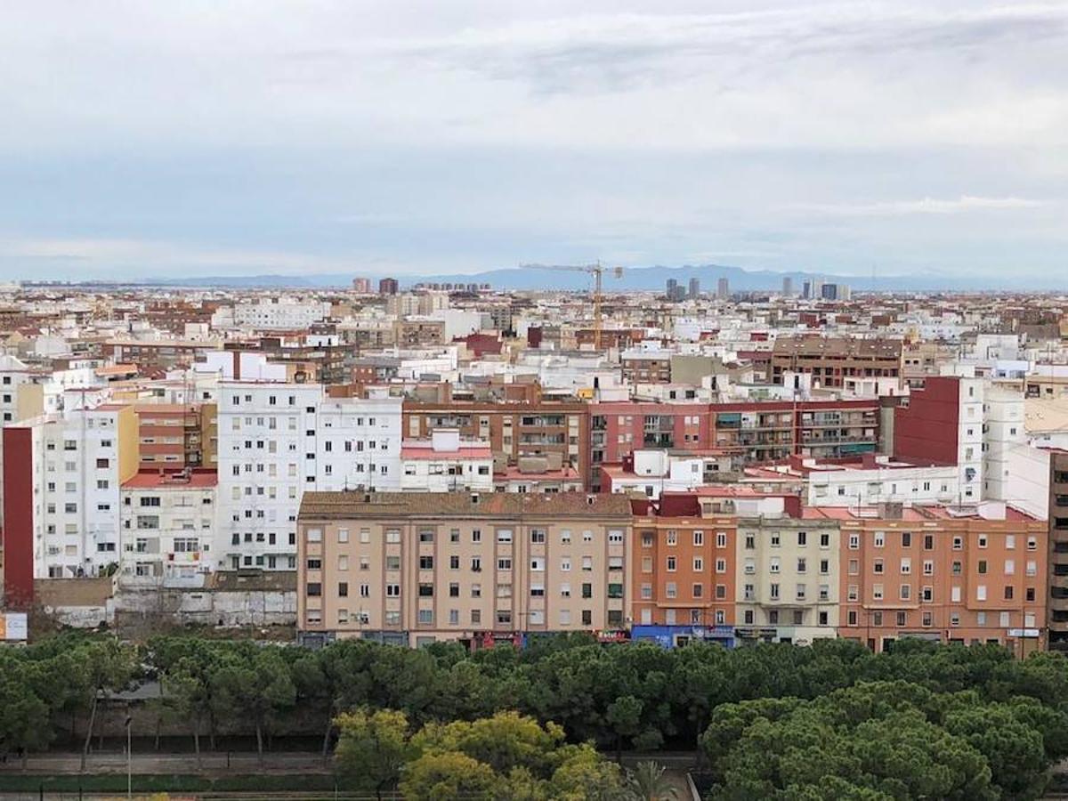 L'Olivereta (Valencia)