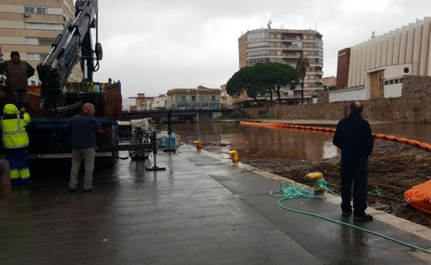 Cientos de cañas acumuladas en el puerto de Gandia protegidas por una barrera antes de iniciar las labores para retirarlas.