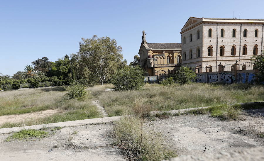 El Jardín Botánico, naturaleza oculta para los valencianos