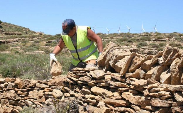 Reconstrucción de un muro de piedra seca.