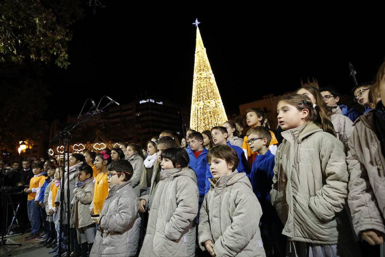 La Plaza del Ayuntamiento de Valencia ha vivido este viernes el encendido oficial de la iluminación navideña. Como gran novedad, este año otros dos barrios y dos pueblos de la ciudad se suman en la apuesta por descentralizar la decoración. Los dos barrios que este año estrenarán árbol de Navidad serán Benicalap y Malilla, sumándose así a las plazas de Patraix, Campanar, Benimaclet, Sant Valer (en Russafa), la Creu del Canyamelar y Doctor Collado (en Ciutat Vella), Orriols, Sant Marcel·lí y Abastos. Serán un total de 11 los árboles que se repartirán por toda la ciudad, además del de la Plaza del Ayuntamiento.