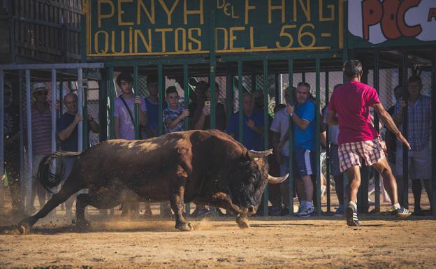 Imagen principal - El Saliner, una vida de pasión ganadera