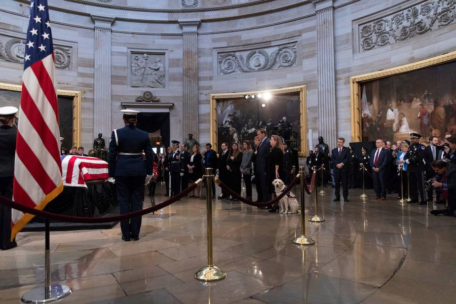 El labrador se hizo famoso esta semana por una imagen en la que aparecía recostado al lado del féretro de su amo, al que ayudó durante su enfermedad. El noble animal también asistió al entierro, donde robó las miradas de todos los asistentes.