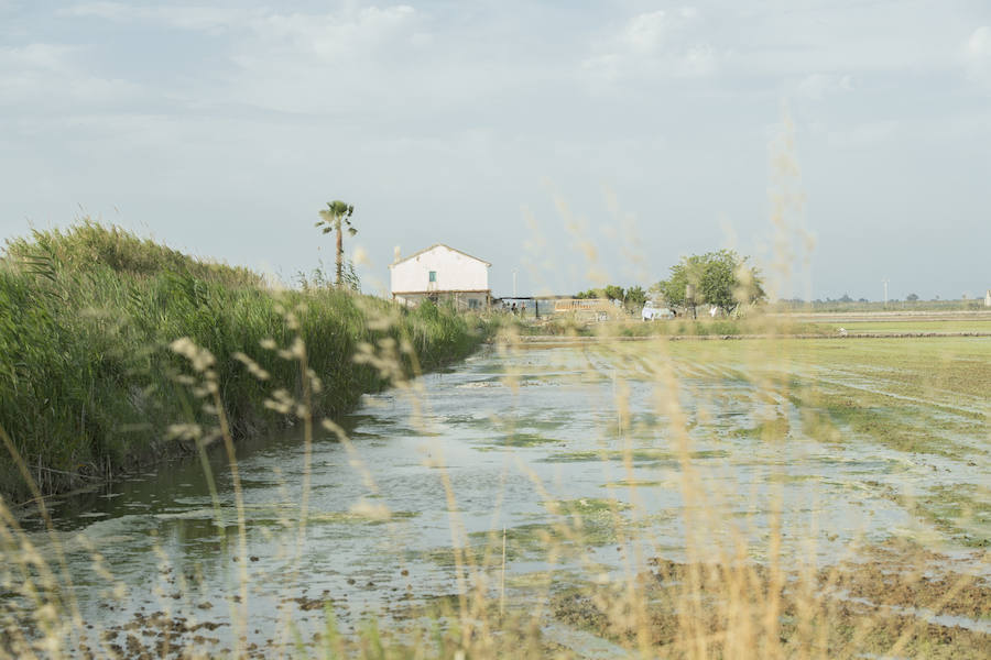 Fotos: Así ha seducido L&#039;Albufera a la televisión