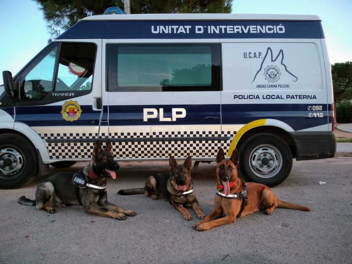 Fotos: Fotos de la patrulla canina de Paterna