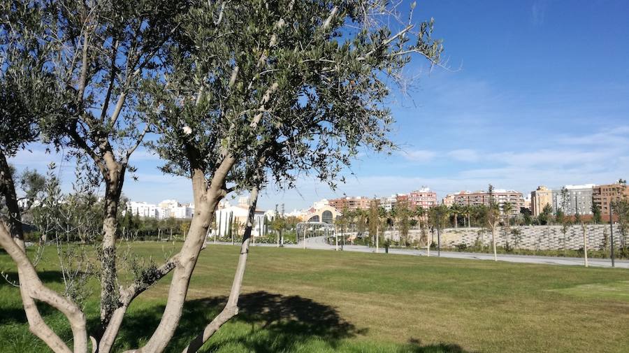 El Parque Central de Valencia comienza a ser una realidad. El avance de las obras ya permite ver cómo será uno de los pulmones de la ciudad y otro punto de encuentro para el deporte y el ocio.