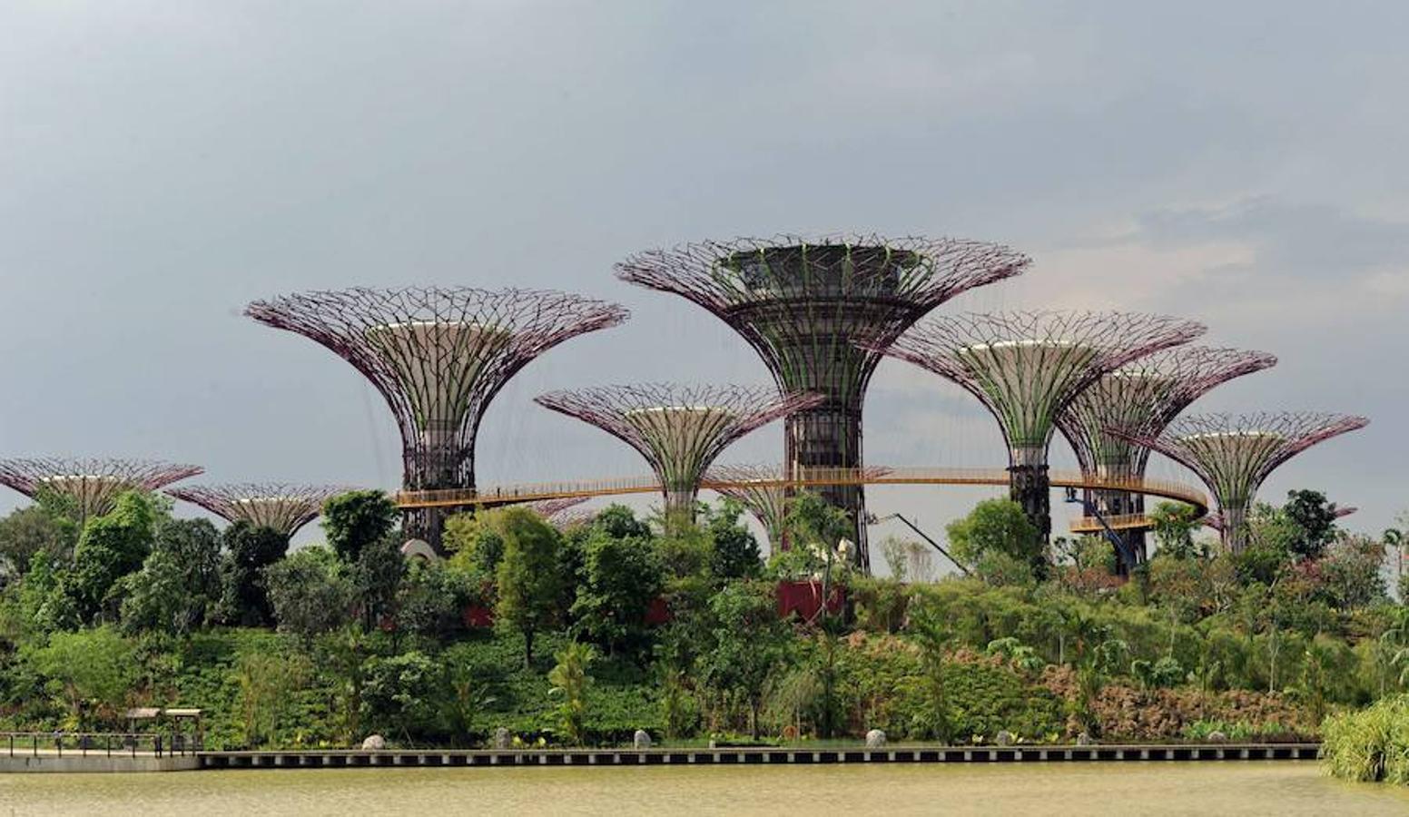 Jardines de la Bahía, Singapur. Estos jardines inaugurados en 2012 son una de las atracciones más turísticas de Singapur. Un circuito de parques entre los que destacan árboles de enorme altura y grandes invernaderos que crean una instantánea futurista y mágica.