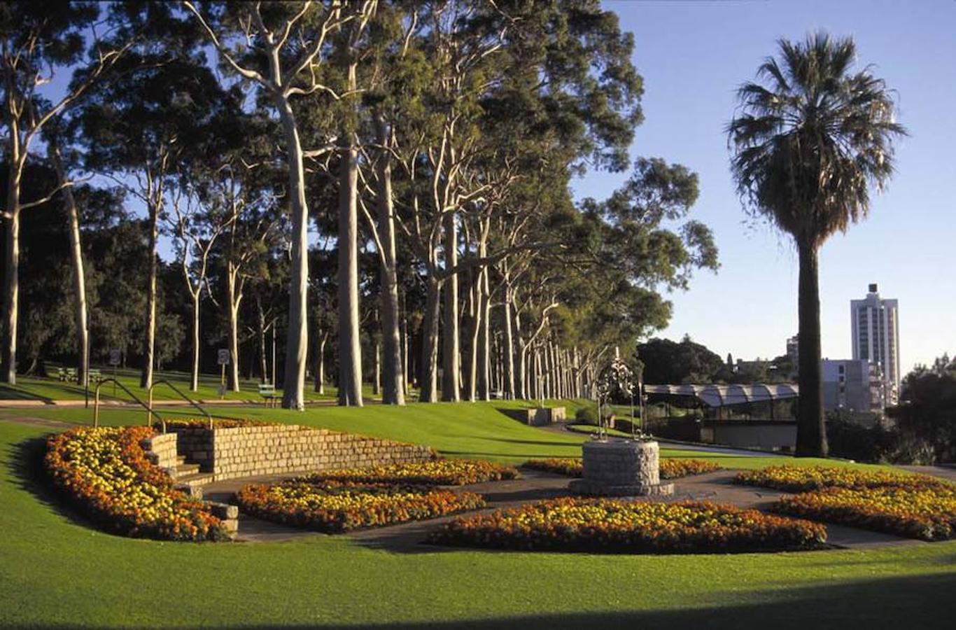 Kings Park, Australia Occidental. Es el primer parque público de Australia y su riqueza reside en la mezcla de paisajes: hierba, jardines botánicos y matorral. Es de mayores dimensiones que el Central Park de Nueva York.