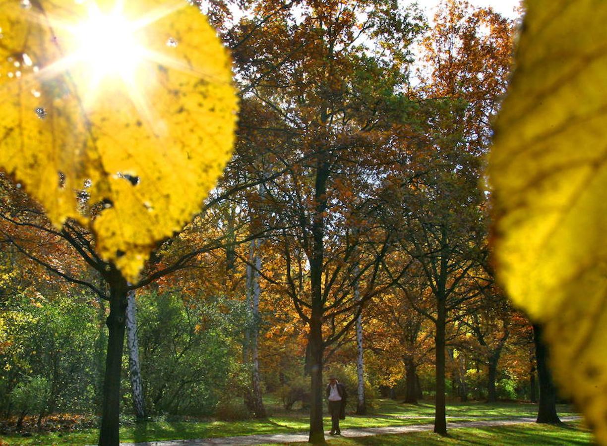 Tiergarten, Berlín. Esta zona verde abarca varios de los monumentos de la capital alemana, como la Puerta de Brandemburgo, el Parlamento de Berlín y la Columna de la Victoria. Más de 200 hectáreas cuyo origen reside en ser una zona de caza, que ha pasado a ser el parque más famoso de Berlín.