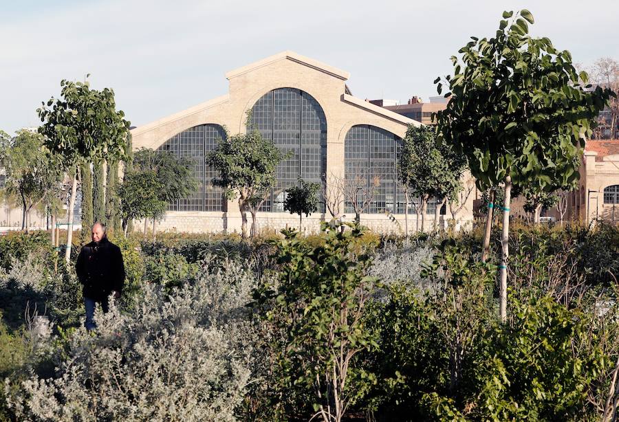 Desde las 9 horas de la mañana de este lunes los valencianos ya pueden disfrutar de este nuevo espacio verde que esperan desde hace 15 años. En total, más de 100.000 metros cuadrados, con un millar de árboles y zonas para niños y perros.