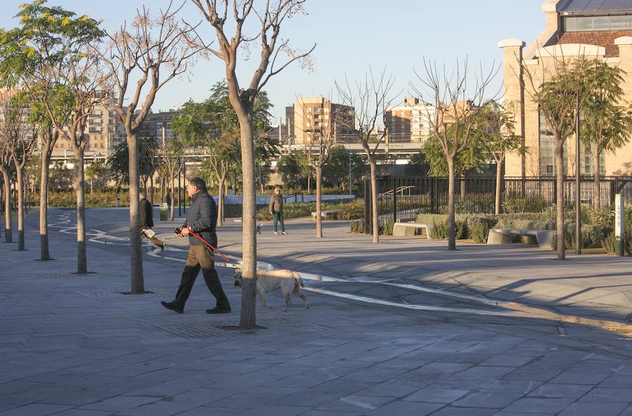 Desde las 9 horas de la mañana de este lunes los valencianos ya pueden disfrutar de este nuevo espacio verde que esperan desde hace 15 años. En total, más de 100.000 metros cuadrados, con un millar de árboles y zonas para niños y perros.