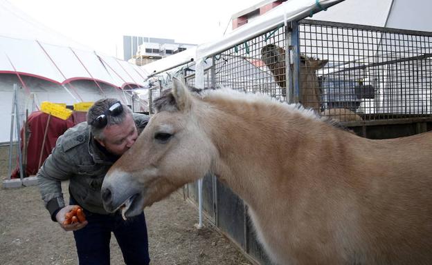 Caballos en un circo. 