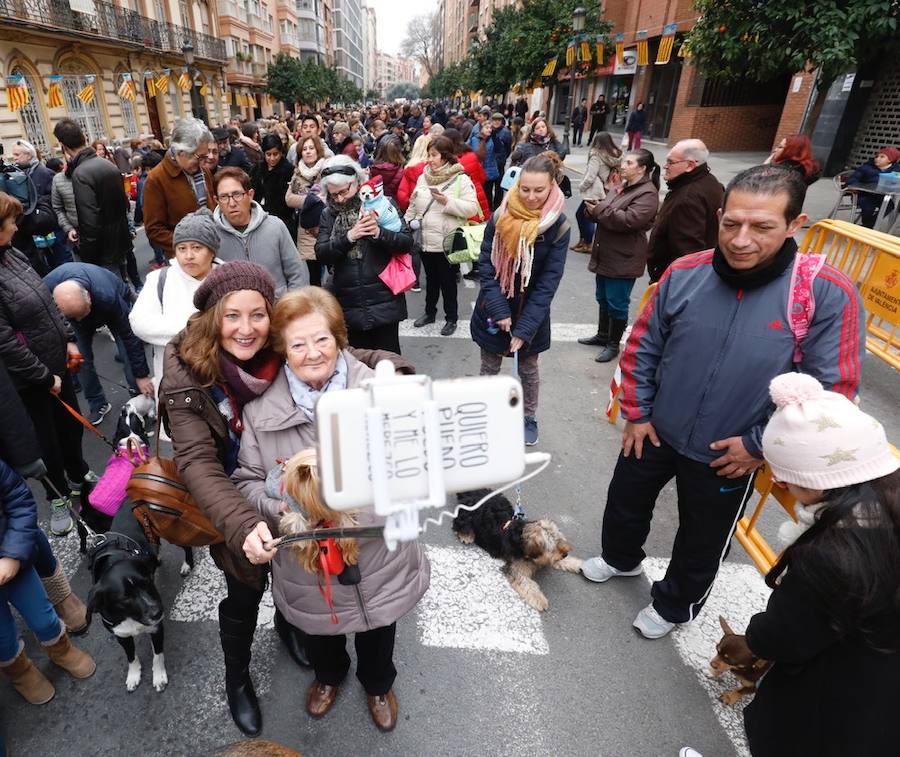 La calle Sagunto acoge un año más el tradicional acto que reúne a decenas especies de animales