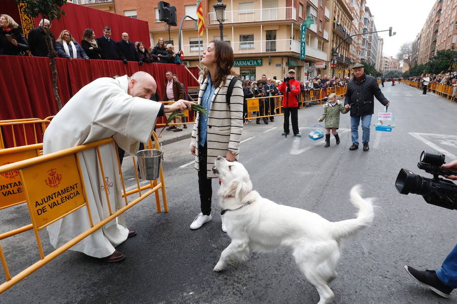 La calle Sagunto acoge un año más el tradicional acto que reúne a decenas especies de animales