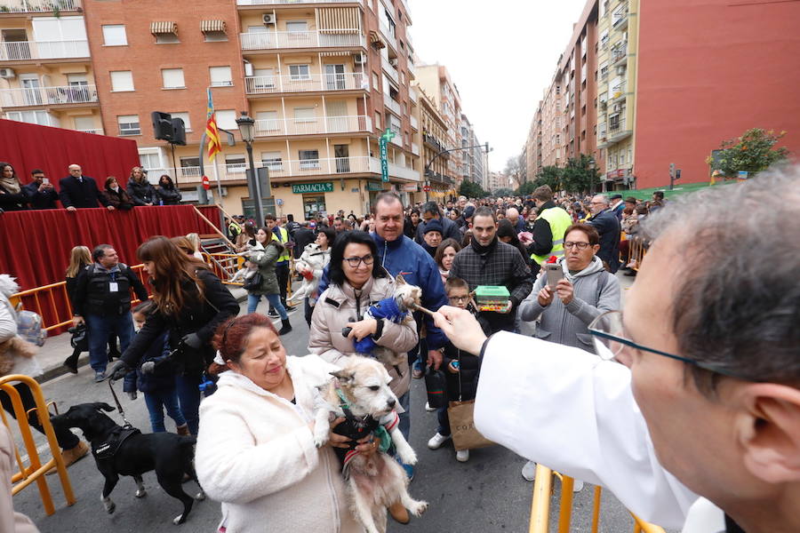 La calle Sagunto acoge un año más el tradicional acto que reúne a decenas especies de animales