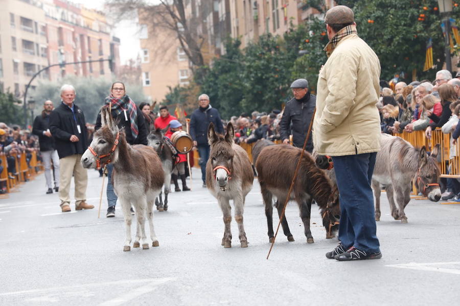 La calle Sagunto acoge un año más el tradicional acto que reúne a decenas especies de animales