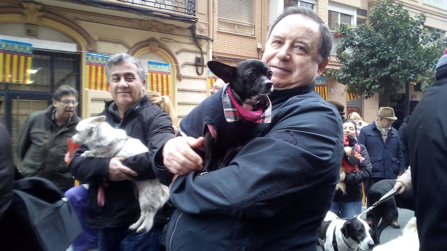 La calle Sagunto acoge un año más el tradicional acto que reúne a decenas especies de animales