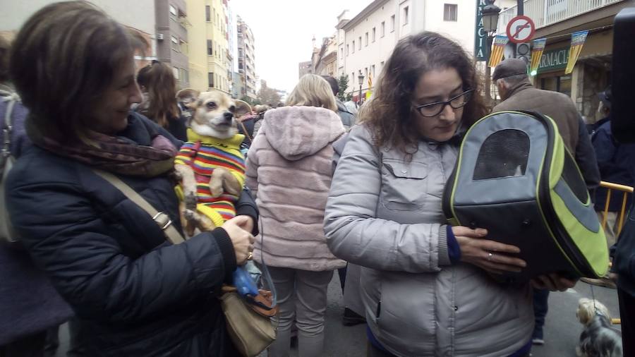 La calle Sagunto acoge un año más el tradicional acto que reúne a decenas especies de animales