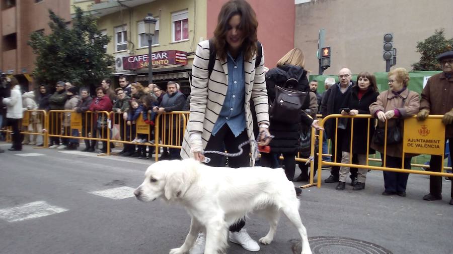 La calle Sagunto acoge un año más el tradicional acto que reúne a decenas especies de animales