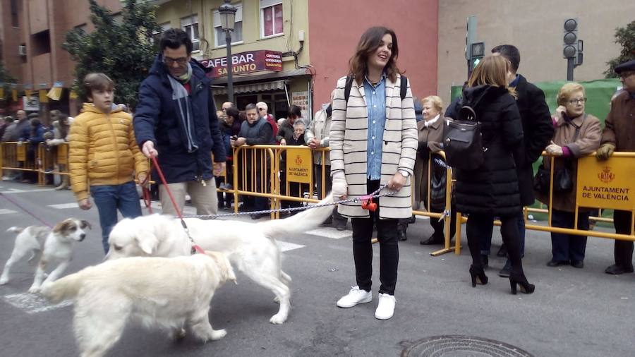 La calle Sagunto acoge un año más el tradicional acto que reúne a decenas especies de animales