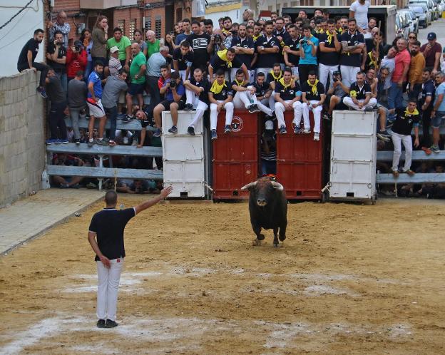 Toro de Domínguez Camacho en las calles de Museros en 2018. 