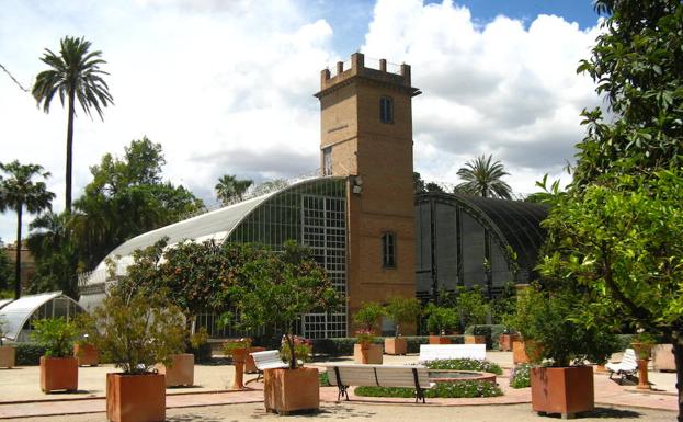 Imagen principal - Un jardín cambiante en el centro de Valencia