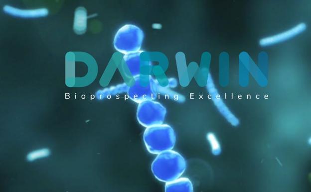 Darwin Bioprospecting Excellence | test microbioma