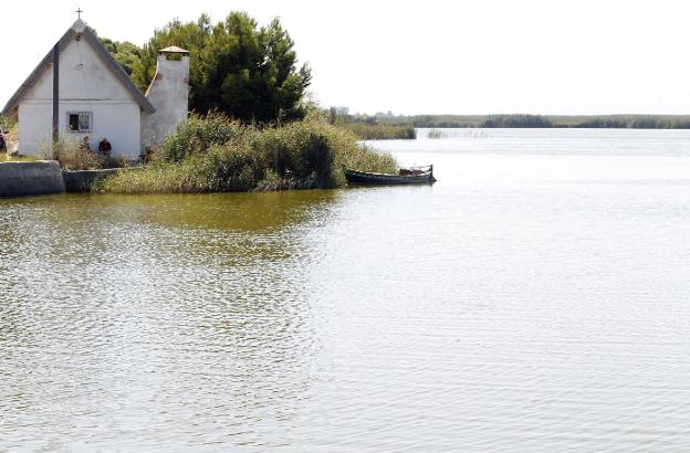 Una casa rodeada de vegetación en La Albufera. 