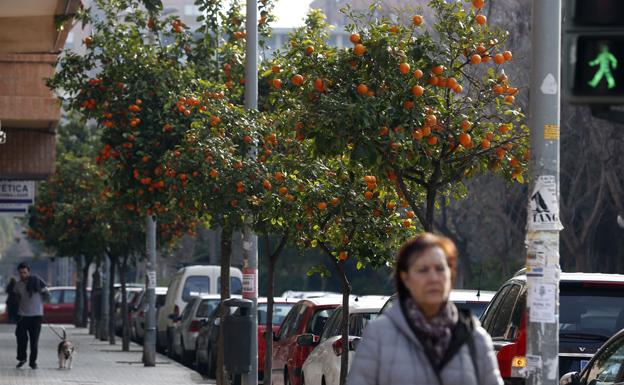 Calle Campoamor de Valencia, donde se produjo el intento de robo.