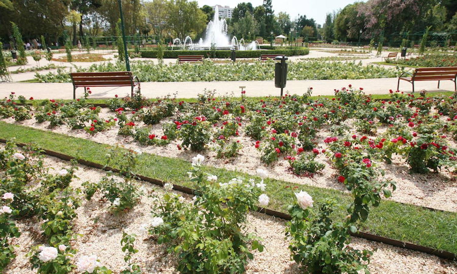 Jardines del Real, también llamados Jardines de Viveros.