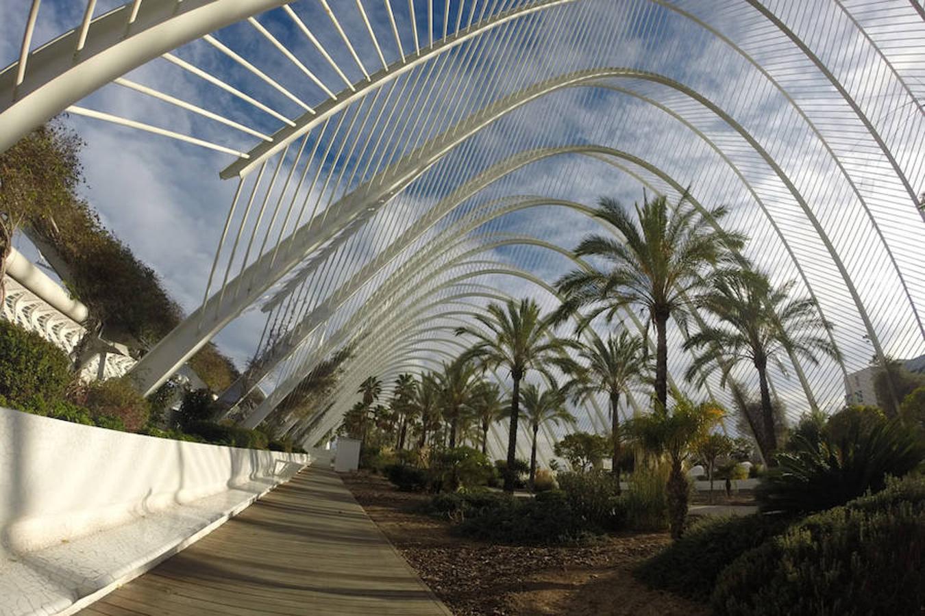 Ciudad de las Artes y las Ciencias.