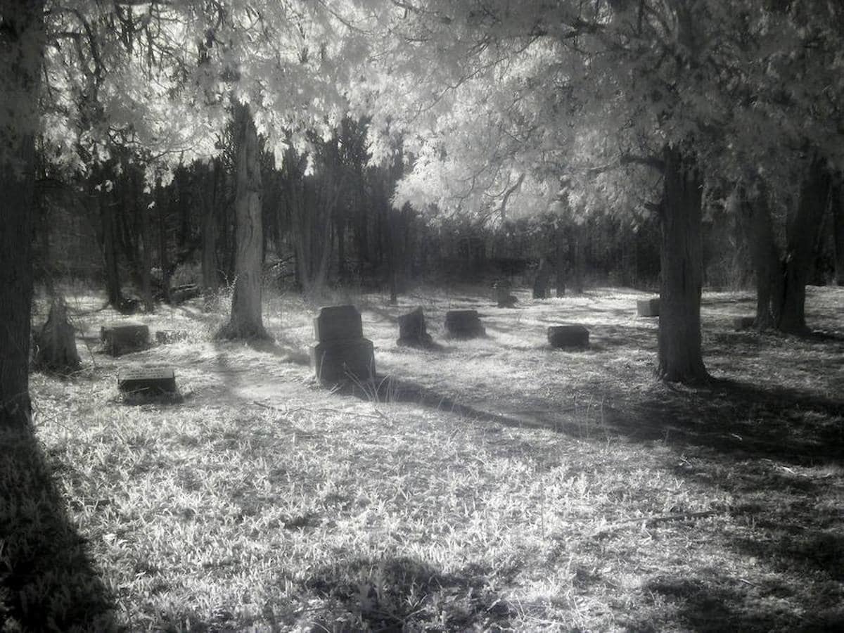 Cementerio de Bachelor's Grove (Chicago) | Creado en 1844, la población que rodeaba este lugar acabó trasladándose a otros destinos y este camposanto quedó rodeado de leyendas urbanas sobre fantasmas y apariciones del más allá, que alcanzaron su máxima popularidad entre las décadas de 1970 y 1980, aunque ahora apenas quedan una veintena de tumbas a la vista. 