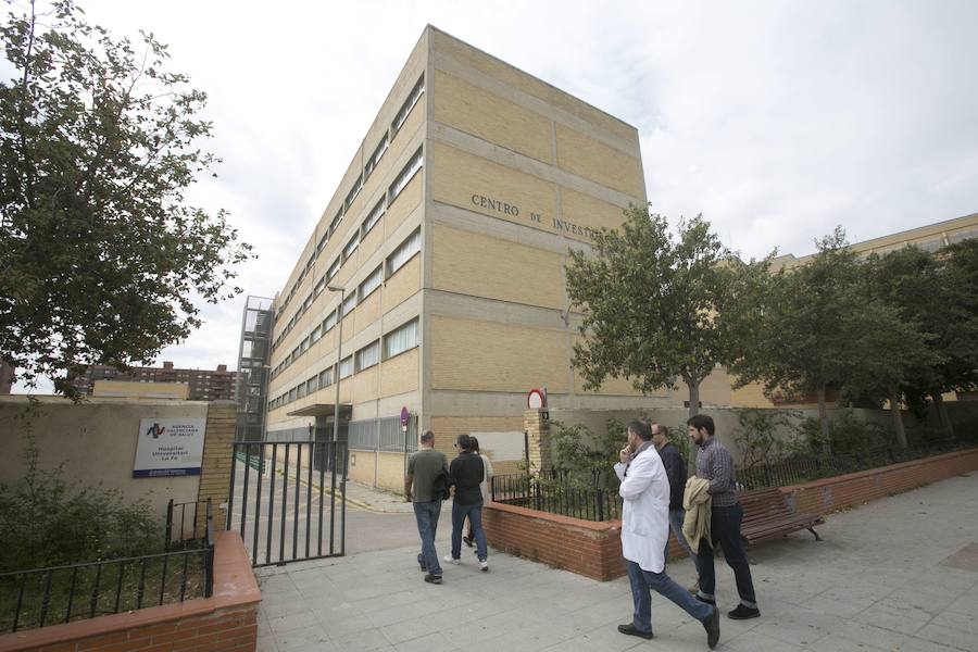 El antiguo edificio de Campanar se reinventa medio siglo después entre obras con el reto de recuperar la asistencia sanitaria para los vecinos. Con el traslado del hospital al Bulevar Sur, el barrio se quedó huérfano de la referencia asistencial en la que se convirtió La Fe; centro sanitario que, al igual que revitalizó la zona gracias a su nacimiento, la llenó de sombras en su despedida.