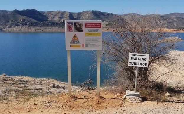 La Confederación Hidrográfica del Júcar alerta a los usuarios de embarcaciones de la presencia del mejillón cebra