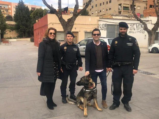 El perro Lobo, la última incorporación a la Unidad Canina de la Policía Local de Paterna. 