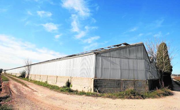 Nave adquirida por la empresa norteamericana Freedom Leaf en Benifaió para el cultivo de cannabis. 