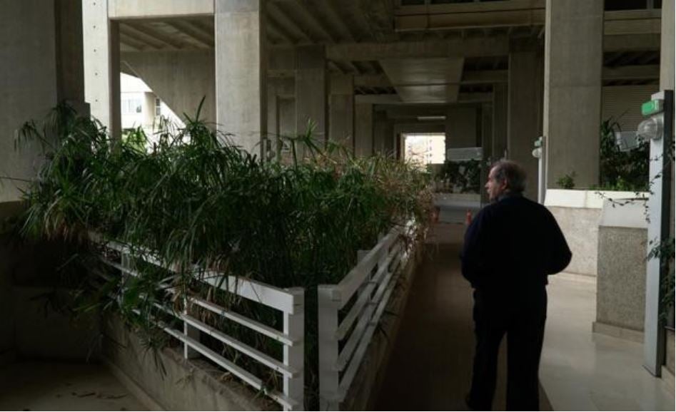 Surgió en una cena de amigos que reivindicaban la utopía de conseguir vivir en la ciudad sin desvincularse de la naturaleza y este año cumple ya un cuarto de siglo una edificación que conjuga el ecologismo con la tecnología, pues fue de las primeras de Europa en tener banda ancha. Se trata de Espai Verd, un singular edificio situado en la entrada de Valencia desde la autovía de Barcelona compuesto por 108 viviendas ajardinadas en altura responsabilidad del arquitecto Antonio Cortés